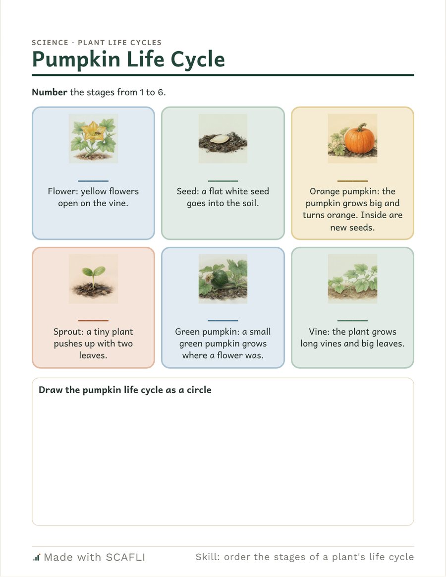 Pumpkin life cycle: a page from this PDF